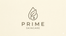 Prime Skin - Home
